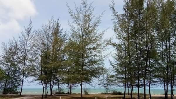 Paka Tamim Seaview Hotel المظهر الخارجي الصورة